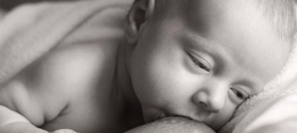 Ny lov om amning: Her SKAL man amme