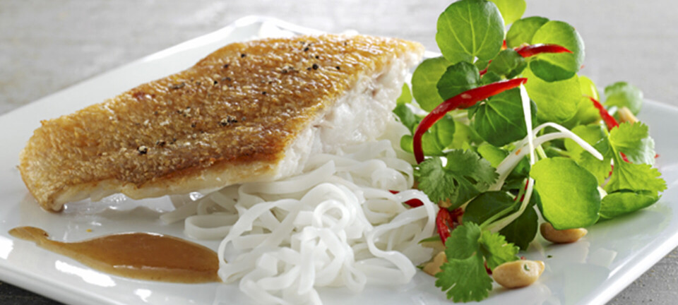 Rødfisk, tamarinsauce og risnudler