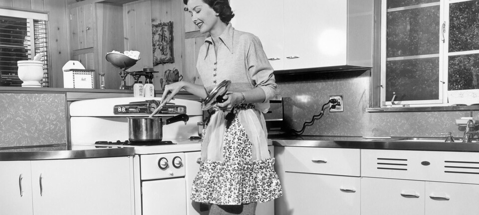 Tilbage til kødgryderne?: ”At hjemmepasse skal ikke være et fravalg, men et reelt valg”