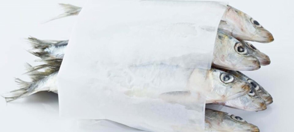 Din guide til omega-3: Sådan får du mere fisk i din kost