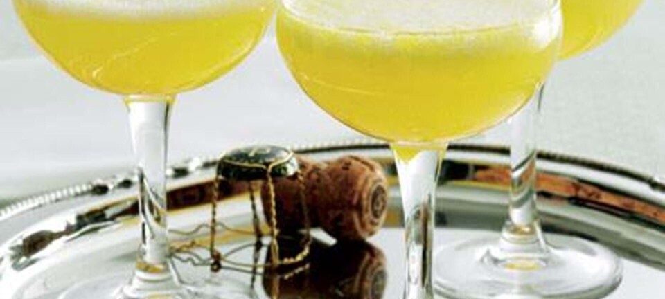 Bellini – den skønne champagne-cocktail