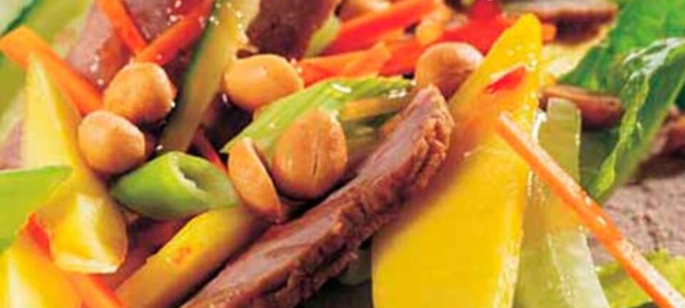 Thaisalat med stegt kød