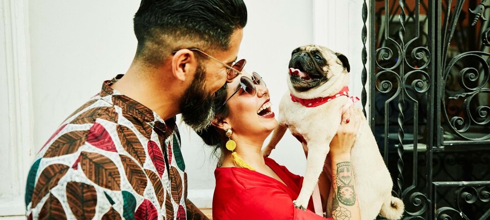 Jeg vil ikke have min svigerdatters hund i huset