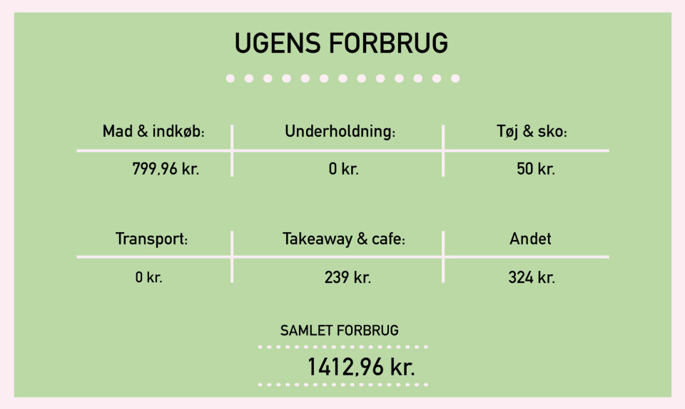 Forbrug_Ditte.jpg