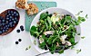 Kyllingesalat med blåbær