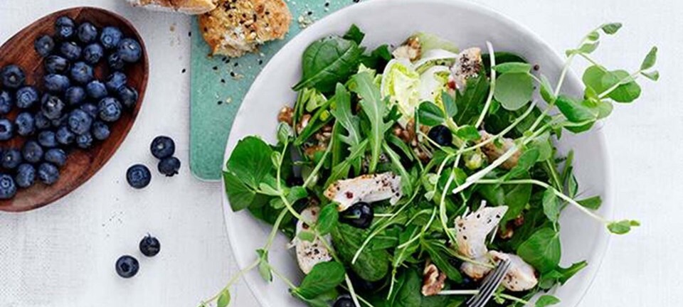 Kyllingesalat med blåbær