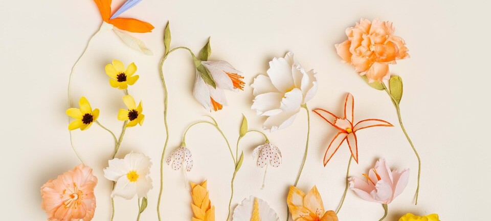 Sådan laver du den smukke, ikoniske papirblomst fra Almeja Space