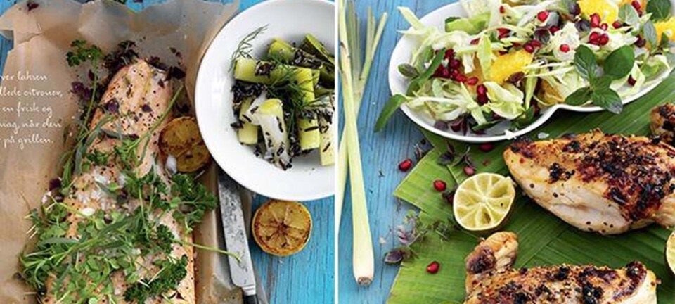 Sommergrill: 14 lækre opskrifter