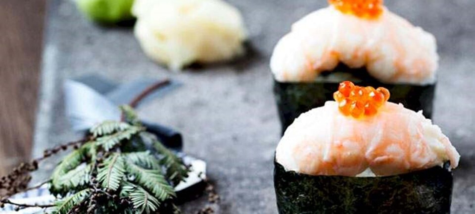 Sushi: Gunkan-maki med jomfruhummer