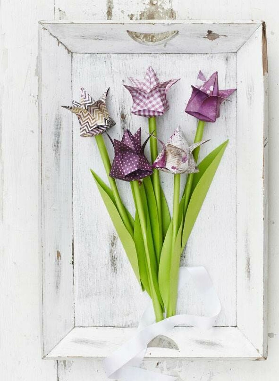 Tulipan sangskjuler