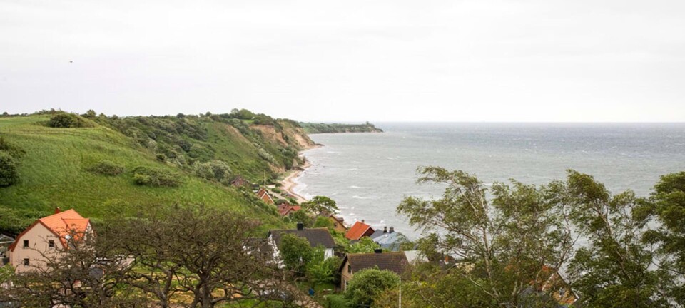 Besøg denne perle, hvis du er vild med svensk natur, smukke cykleture - og kanelsnegle