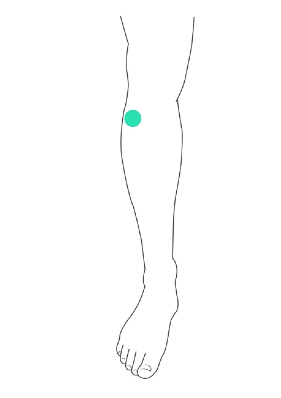 akupressurpunkt til træthed