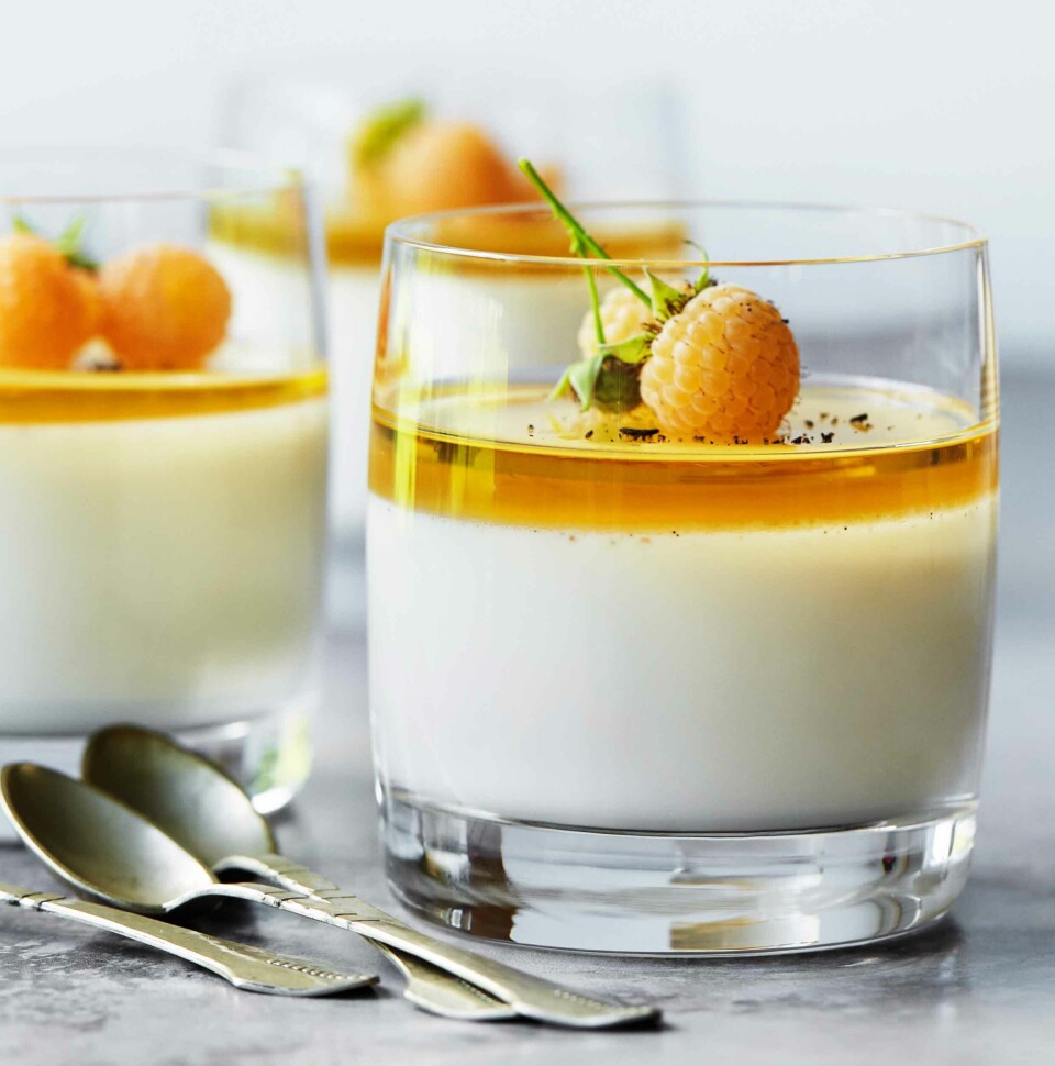Panna cotta med whiskygelé