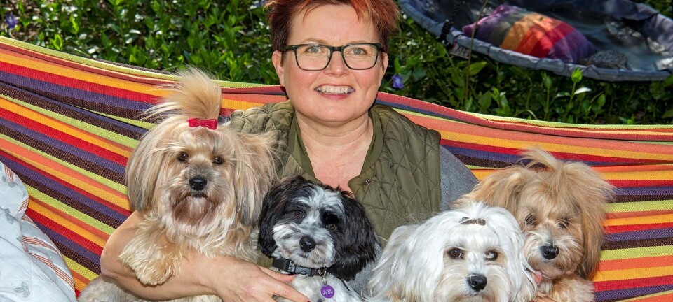 Pias hotelgæster er lidt udover det sædvanlige: ”Hunde er med i alt, hvad jeg laver”