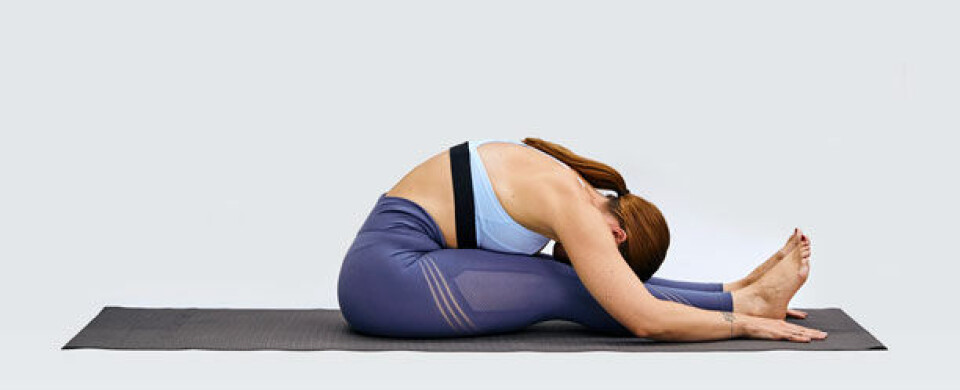 yoga-4.jpg
