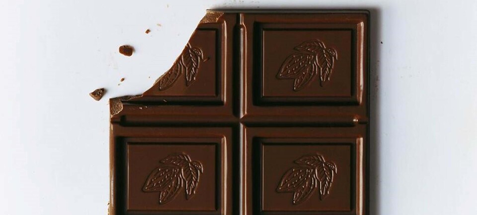Forbrugerrådet advarer mod luksus-chokolade
