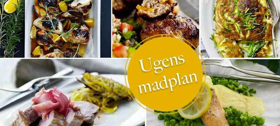 Nem omelet, grønne kalvefrikadeller & middelhavskylling med appelsin: Her er ugens madplan til dig