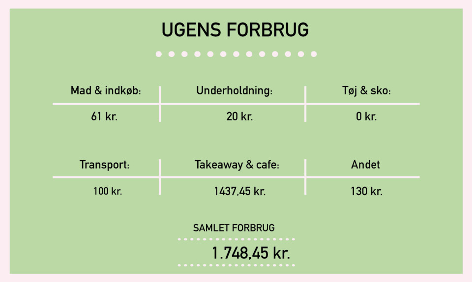 Billede 3 - pengedagboeger_Maria_breakdown.jpg