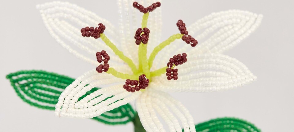 Sådan laver du din egen perlelilje