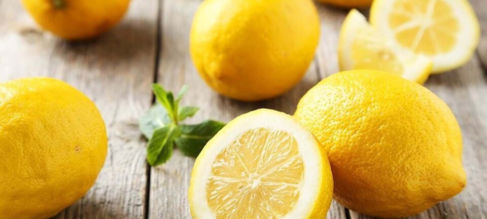 Boost din sundhed med citron