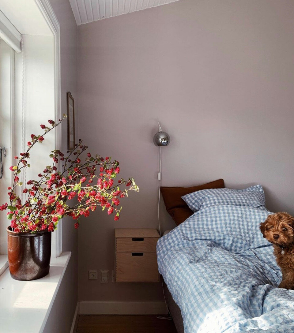 Hunden Molly hygger sig i det ternede sengetøj fra Juna Design. Sengebordet er fra Trævarefabrikernes Udsalg.
