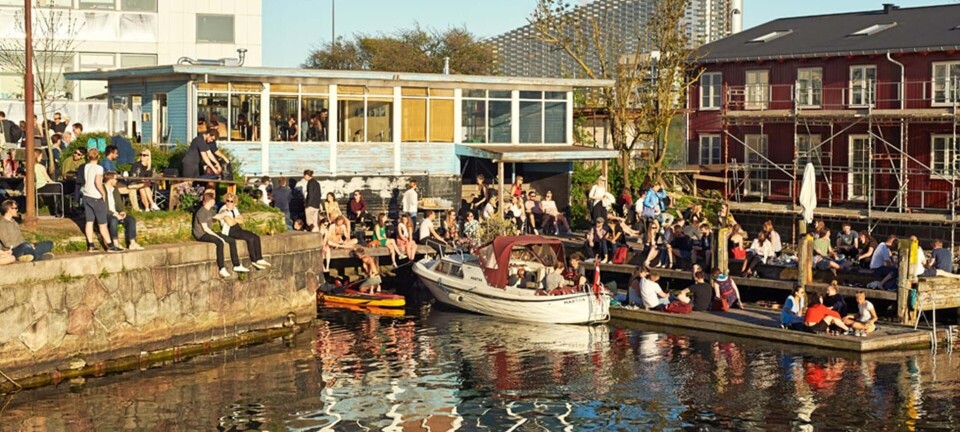 6 fantastiske steder at spise og drikke i København