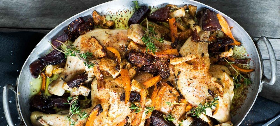Nem kylling med rodfrugter