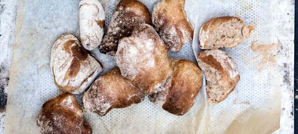 Hvedebrød med mørk øl