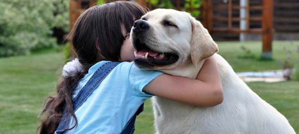 Derfor skal dit barn have et kæledyr