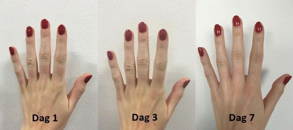 Den store neglelaktest: Hvilke holder, skaller af eller tørrer aldrig?