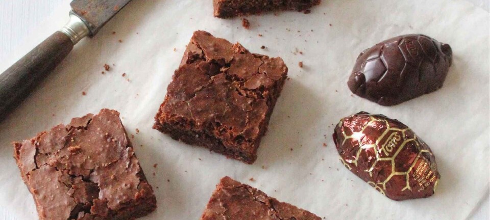 Brownies med skildpadder