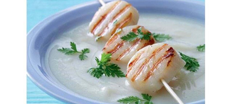 Blomkålssuppe og kammuslinger