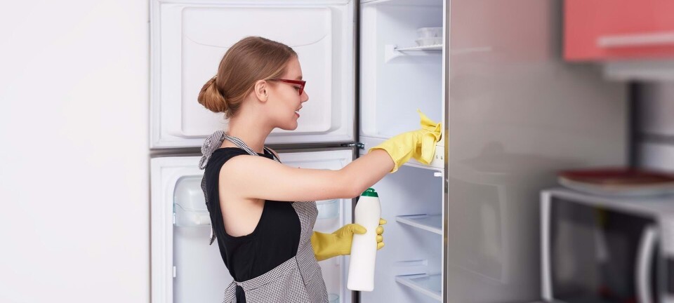 Rengøringsguide: Rent køleskab på 20 minutter