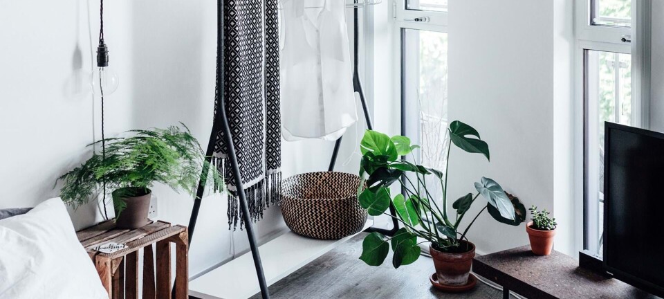 Sådan overlever dine planter i ferien
