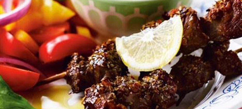 Lammespid med tzatziki