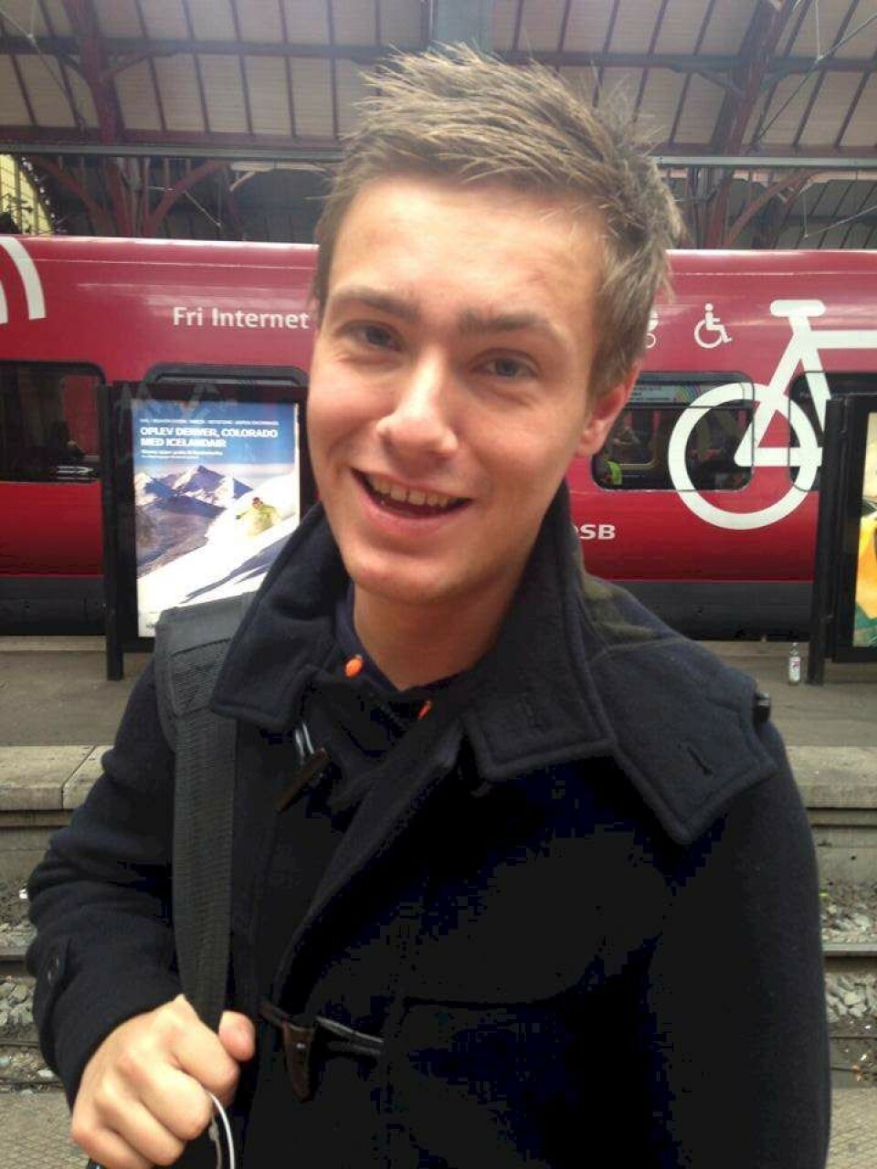 Mænd: Sådan foretrækker vi jeres 'busk'