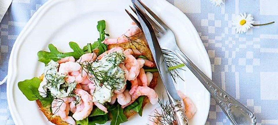 Rejemadder med hjemmerørt dildmayonnaise