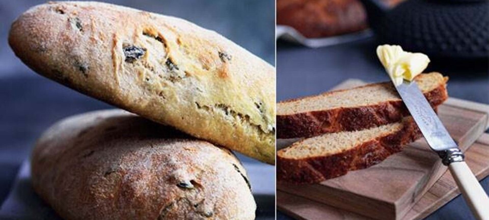 Det daglige brød: Ciabatta, sirupsbrød, müslibrød & koldhævede speltboller