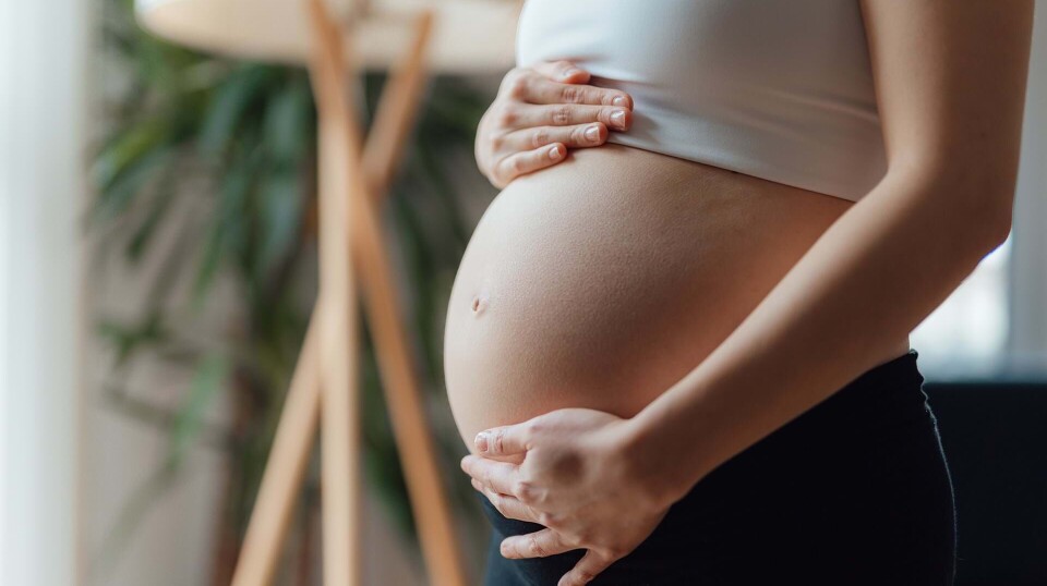 Gravid: Så meget forvandler din krop og dit sind sig, når du er gravid