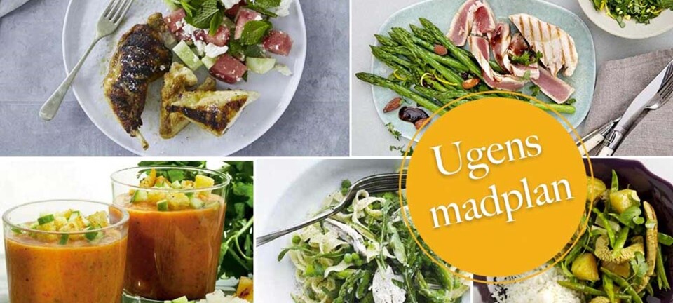 Iskold gazpacho, curry stir fry & grillet kylling med vandmelonsalat: Her er ugens madplan