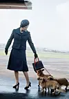 Queen Elizabeth ll arrives at Aberdeen Airport with her corgis to start her holidays in Balmoral, Scotland in 1974. (Photo by Anwar Hussein_Getty Images).jpg