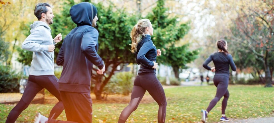 Bente Klarlund: Gåture kan bidrage til at styrke vores mentale sundhed