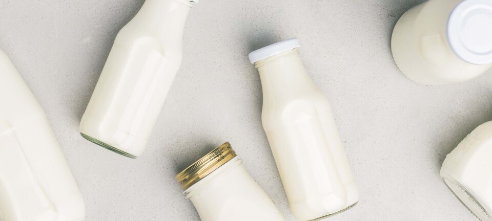 Kan jeg spise mine knogler stærkere?