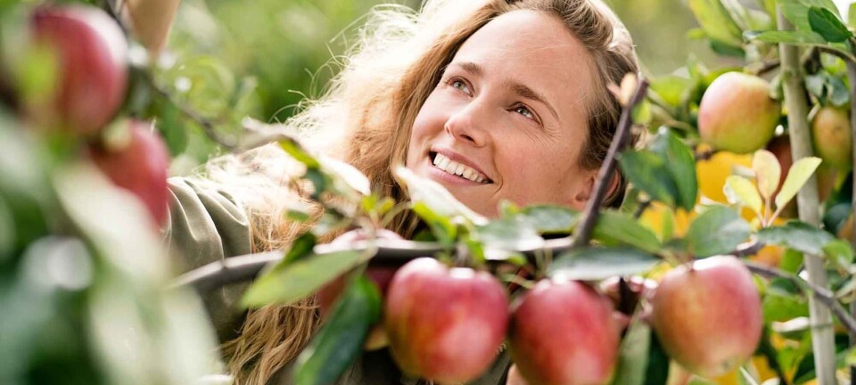 6 simple tips til en mere bæredygtig hverdag