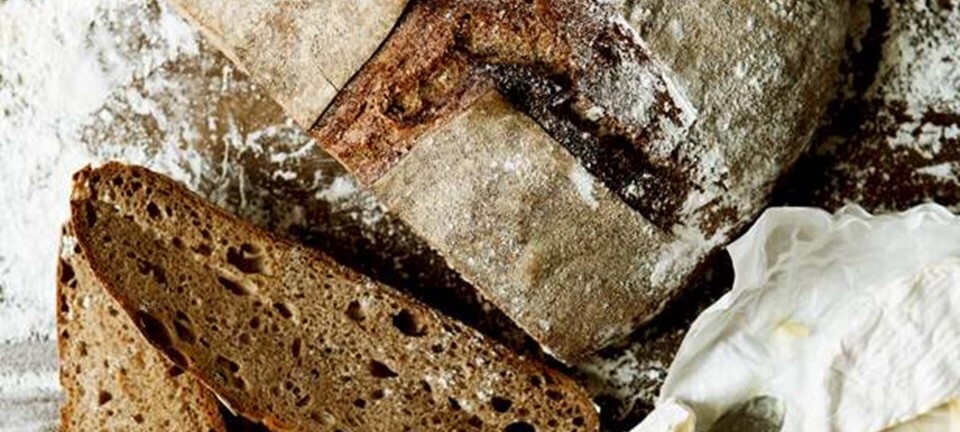 Mørkt brød med øl, honning og rugmel