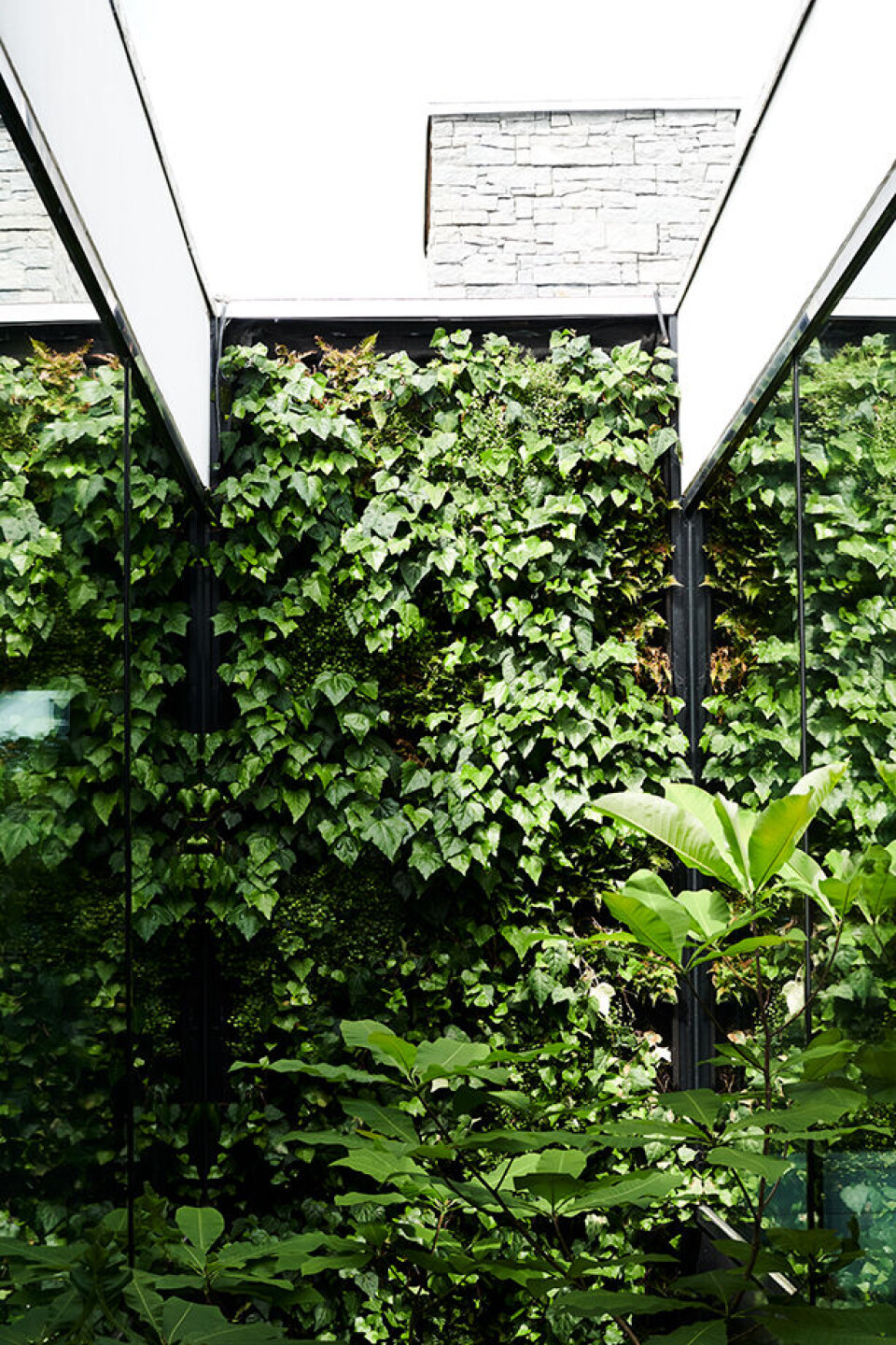 Christian Dams hus