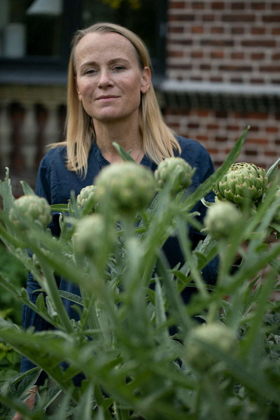 Malene Lei Raben artiskokker