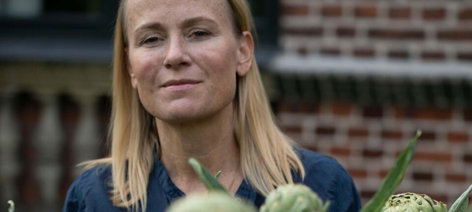 Hvordan får man en flot have? Få Malene Lei Rabens 10 bedste råd