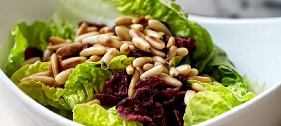 Stegt andebryst med romainesalat