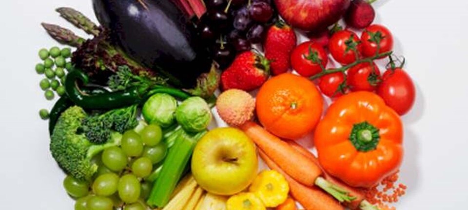 Derfor er enzymer så vigtige for din sundhed